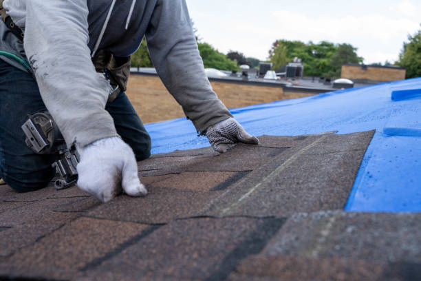 Best Roof Leak Repair  in Volga, SD